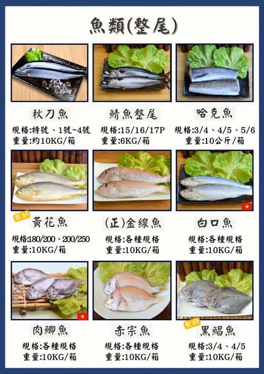 988 廚房魚類整尾（一）型錄頁