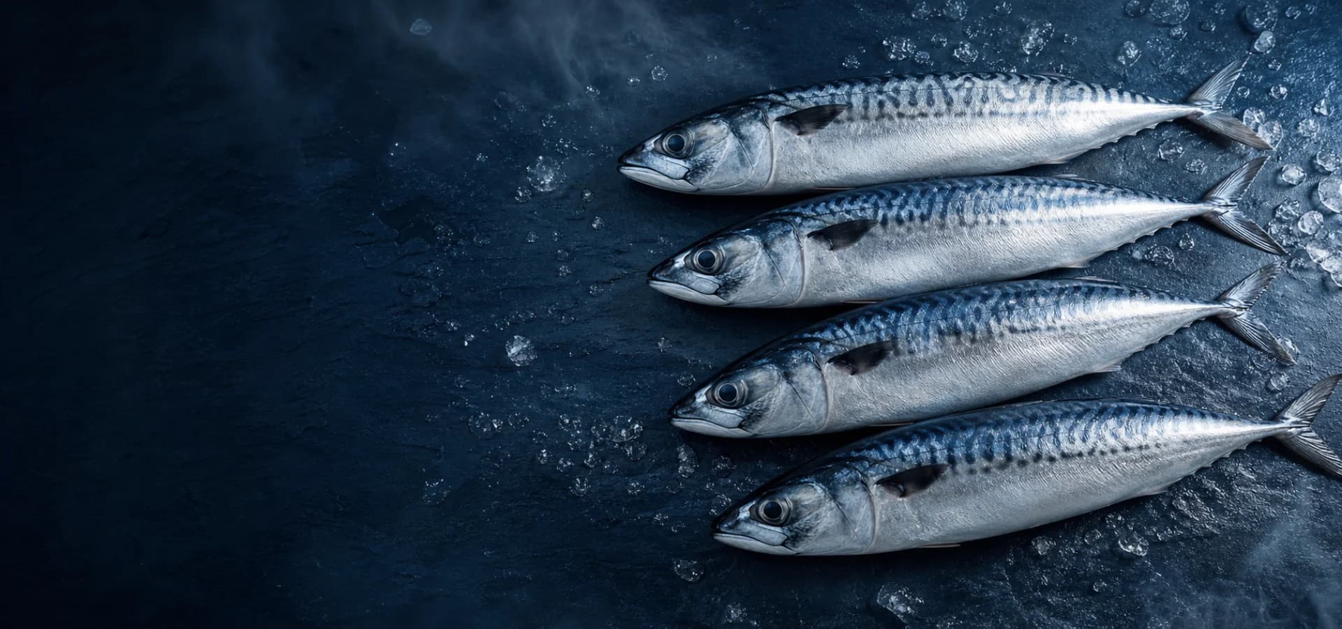 冰鮮挪威鯖魚情境示意圖