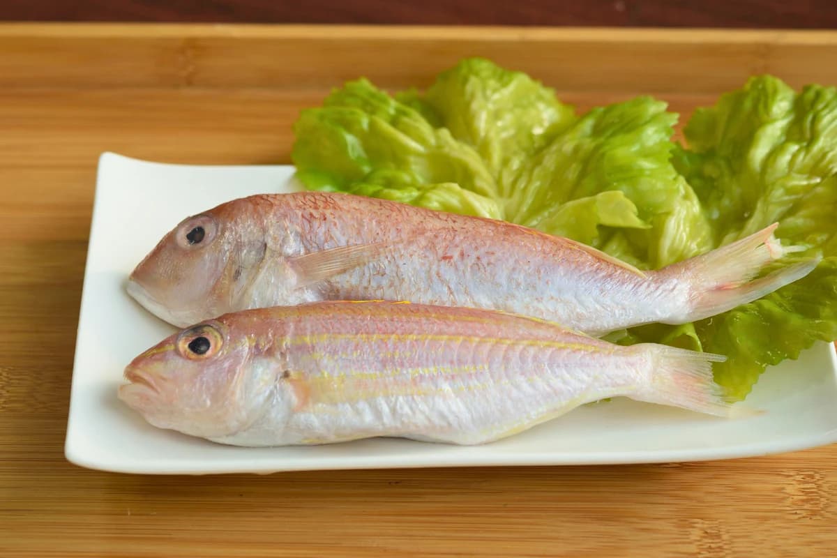 金線魚代表商品圖