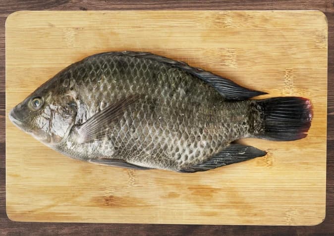吳郭魚代表商品圖