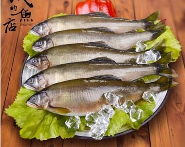 香魚代表商品圖