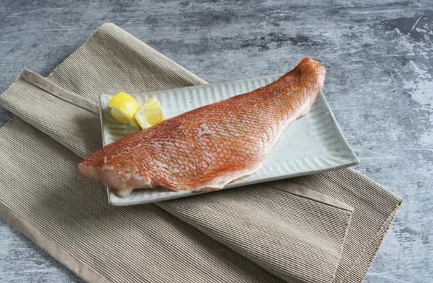 紅魚代表商品圖