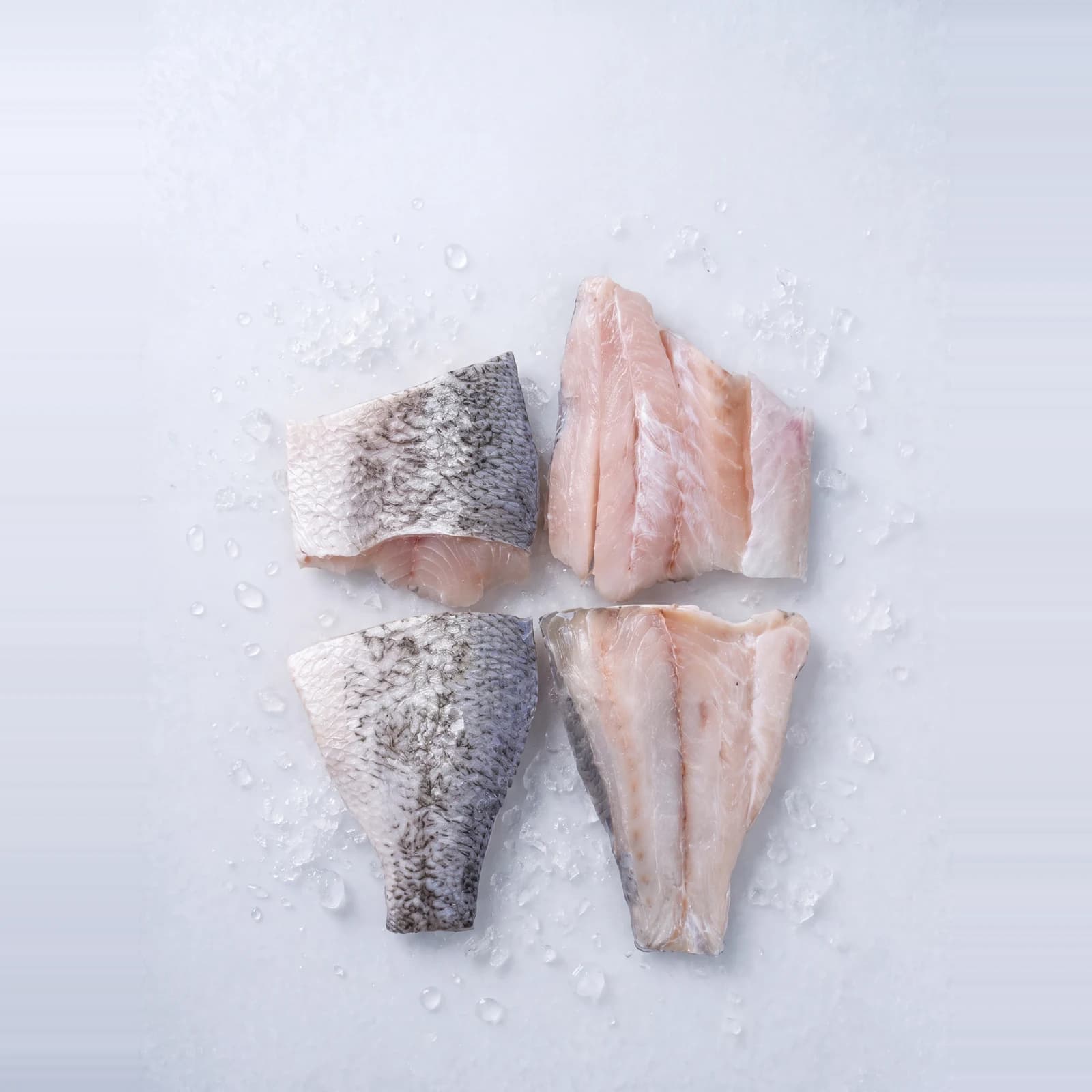 金目鱸魚代表商品圖