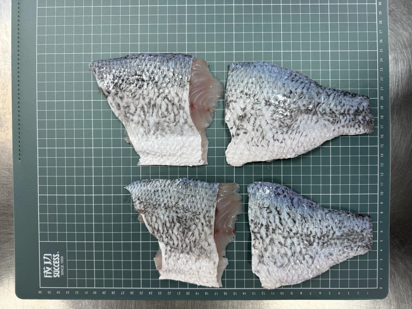 988 廚房薄鹽鱸魚切塊清肉魚皮面四片實品與方格比例對照