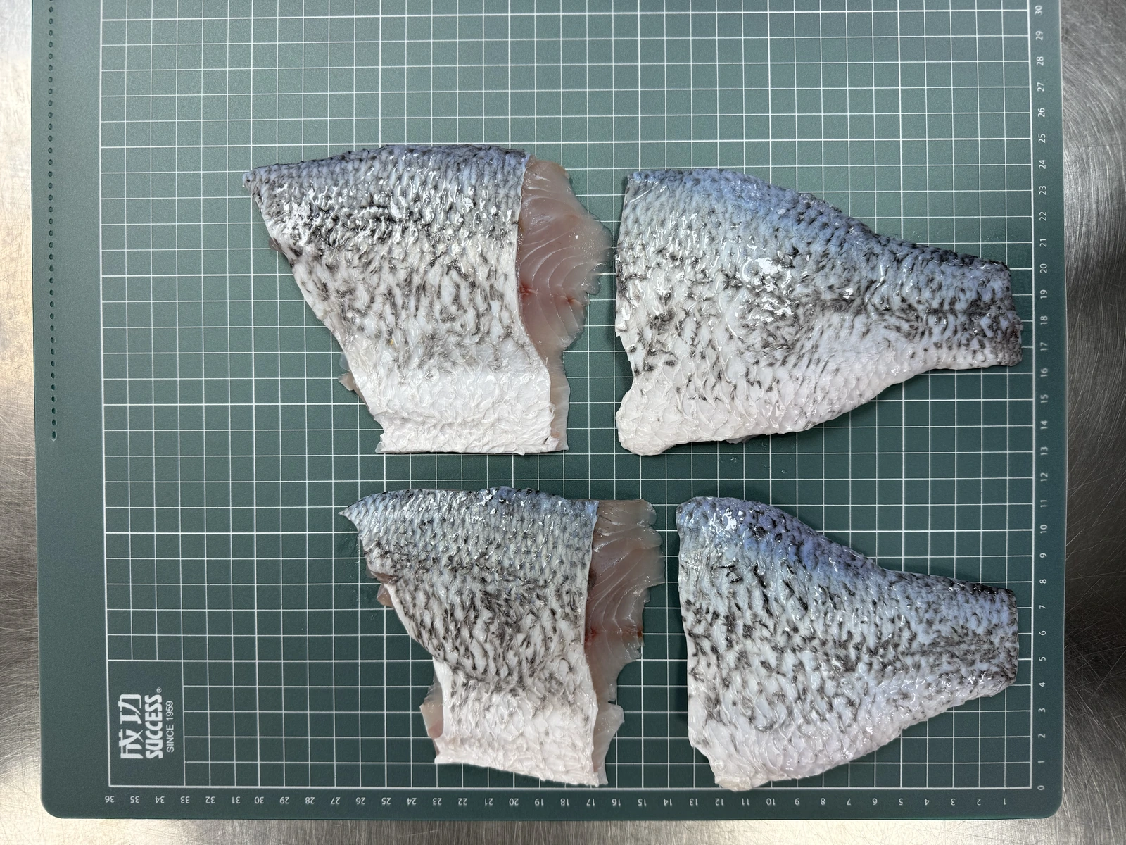 988 廚房薄鹽鱸魚切塊清肉魚皮面四片實品與方格比例對照